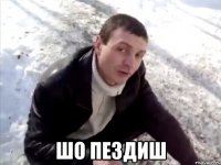  ШО ПЕЗДИШ