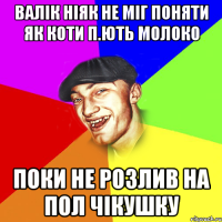 валік ніяк не міг поняти як коти п.ють молоко поки не розлив на пол чікушку