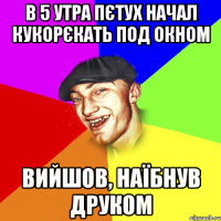 в 5 утра пєтух начал кукорєкать под окном вийшов, наїбнув друком