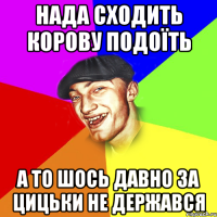 нада сходить корову подоїть а то шось давно за цицьки не держався