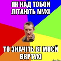 як над тобой літають мухі то значіть ві моєй вєртухі