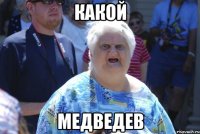 Какой Медведев