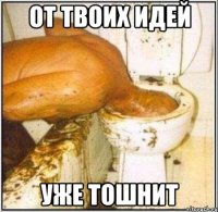 от твоих идей уже тошнит