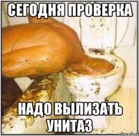 Сегодня проверка надо вылизать унитаз