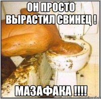 Он просто вырастил свинец ! Мазафака !!!!