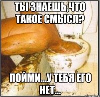 Ты знаешь,что такое смысл? Пойми...У тебя его нет...