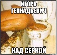 ИГОРЬ ГЕННАДЬЕВИЧ НАД СЕРКОЙ
