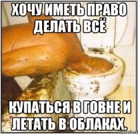 Хочу иметь право делать всё купаться в говне и летать в облаках.