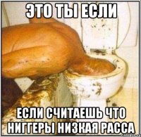 Это ты если если считаешь что Ниггеры низкая расса