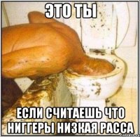 Это ты если считаешь что Ниггеры низкая расса