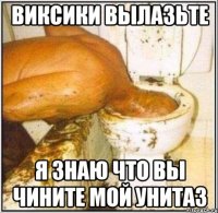 виксики вылазьте я знаю что вы чините мой унитаз
