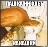 ПАШКА НЮХАЕТ КАКАШКИ