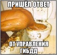 пришёл ответ от управления гибдд