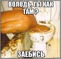 володь, ты как там ? заебись