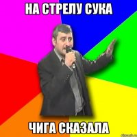 На стрелу сука Чига сказала