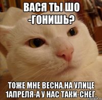 Вася ты шо -гонишь? Тоже мне весна.На улице 1апреля-а у нас таки-снег.