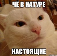 Чё в натуре Настоящие
