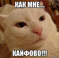 Как мне.... КАЙФОВО!!!