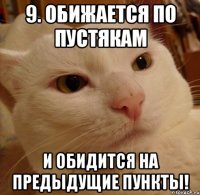 9. Обижается по пустякам И обидится на предыдущие пункты!