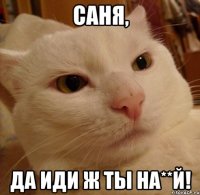 Саня, да иди ж ты на**й!