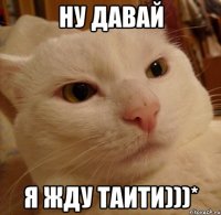 Ну давай Я жду Таити)))*