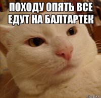 Походу опять все едут на Балтартек 