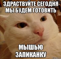 здраствуйте сегодня мы будем готовить мышью запиканку