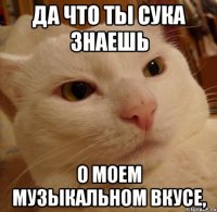 Да что ты сука знаешь о моем музыкальном вкусе,