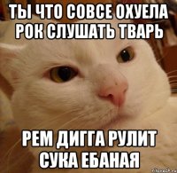 Ты что совсе охуела рок слушать тварь Рем дигга рулит сука ебаная