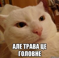  АЛЕ ТРАВА ЦЕ ГОЛОВНЕ