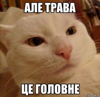 АЛЕ ТРАВА ЦЕ ГОЛОВНЕ