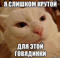 я слишком крутой для этой говядинки