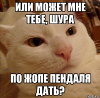 ИЛИ МОЖЕТ МНЕ ТЕБЕ, ШУРА ПО ЖОПЕ ПЕНДАЛЯ ДАТЬ?
