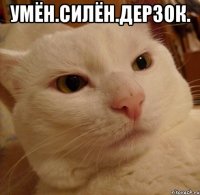 умён.силён.дерзок. 
