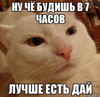 Ну Чё будишь в 7 часов Лучше есть дай
