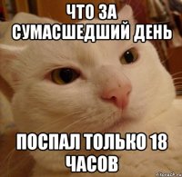 что за сумасшедший день поспал только 18 часов