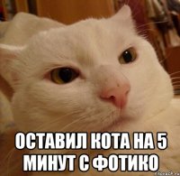  Оставил кота на 5 минут с фотико
