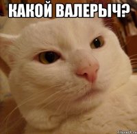 Какой валерыч? 