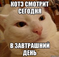 Котэ смотрит сегодня в завтрашний день