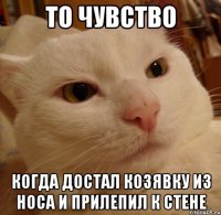 То чувство Когда достал козявку из носа и прилепил к стене