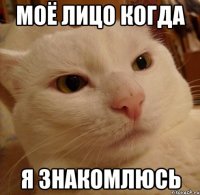 моё лицо когда я знакомлюсь