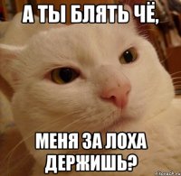 а ты блять чё, меня за ЛОХа держишь?