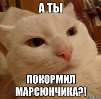 А ты покормил Марсюнчика?!