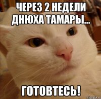 через 2 недели днюха тамары... готовтесь!
