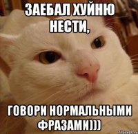 Заебал хуйню нести, говори нормальными фразами)))