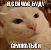 я сейчас буду сражаться