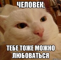 Человек, тебе тоже можно любоваться