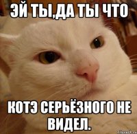 эй ты,да ты что котэ серьёзного не видел.