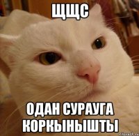 щщс одан сурауга коркынышты