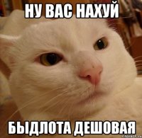 Ну вас нахуй быдлота дешовая